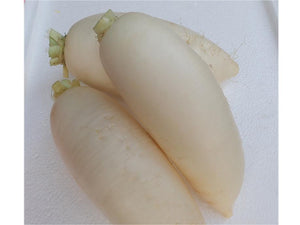 Korea Radish - White Carrot 700g - SGWetMarket