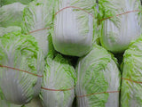 Long Chinese Cabbage - Da Bai Cai 800g - SGWetMarket