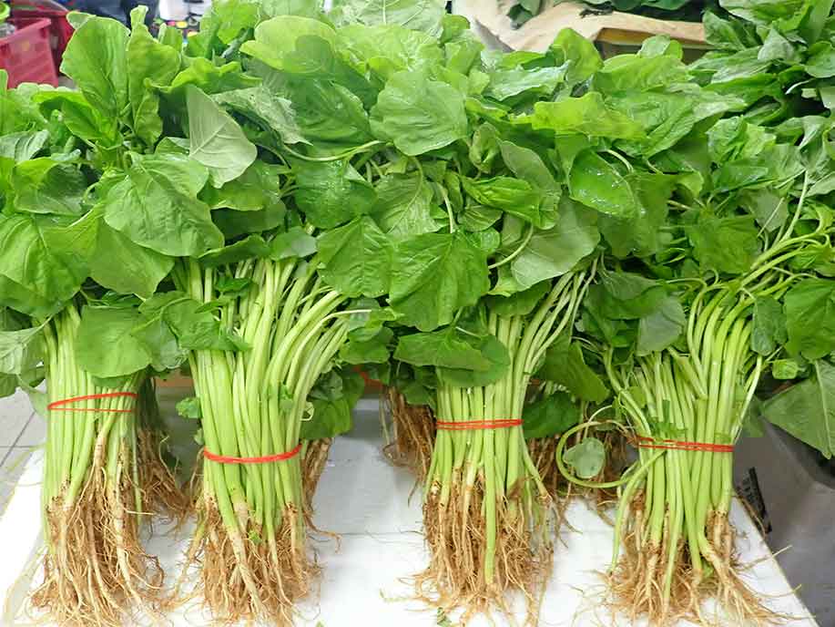 Spinach - Yuan Ye 400g - SGWetMarket