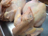 Whole Kampong Chicken (Medium) 900 grams- 1.1 kg - SGWetMarket